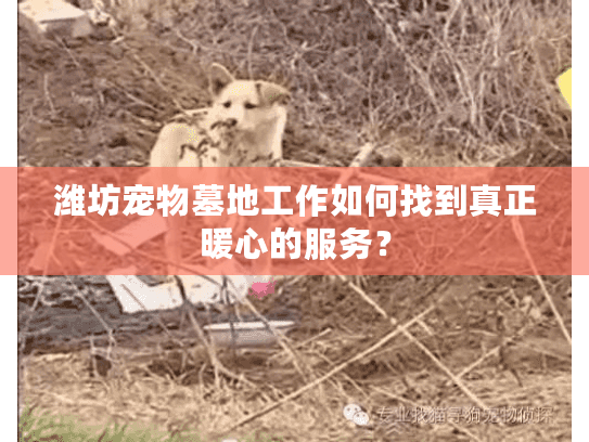 潍坊宠物墓地工作如何找到真正暖心的服务？