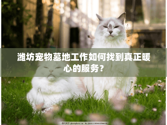 潍坊宠物墓地工作如何找到真正暖心的服务？