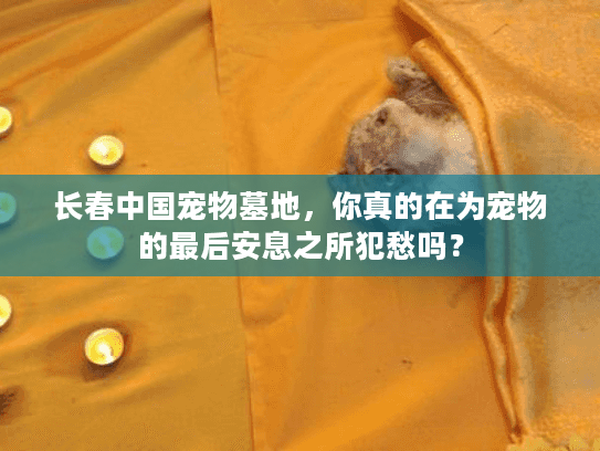 长春中国宠物墓地，你真的在为宠物的最后安息之所犯愁吗？