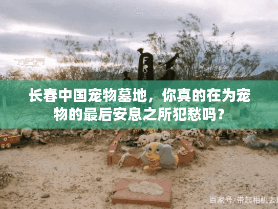 长春中国宠物墓地，你真的在为宠物的最后安息之所犯愁吗？