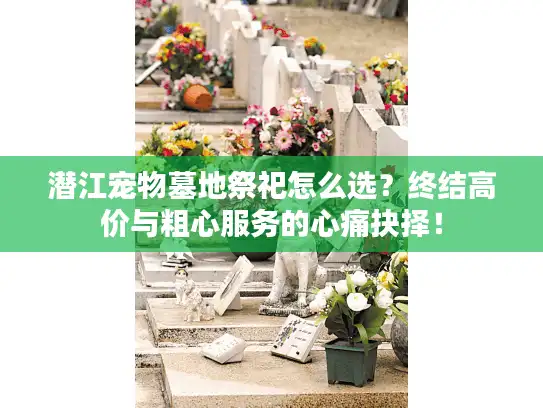 潜江宠物墓地祭祀怎么选？终结高价与粗心服务的心痛抉择！