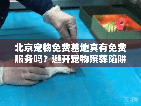 北京宠物免费墓地真有免费服务吗?避开宠物殡葬陷阱的实用攻略 北京宠物免费墓地真有免费服务吗?避开宠物殡葬陷阱的实用攻略