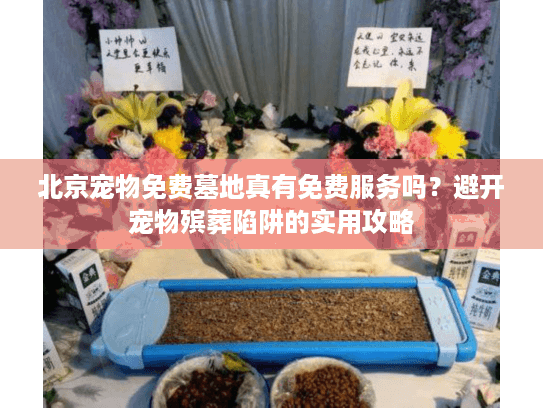 北京宠物免费墓地真有免费服务吗?避开宠物殡葬陷阱的实用攻略 北京宠物免费墓地真有免费服务吗?避开宠物殡葬陷阱的实用攻略