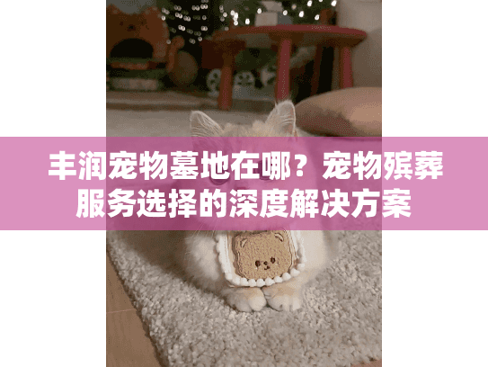 丰润宠物墓地在哪？宠物殡葬服务选择的深度解决方案