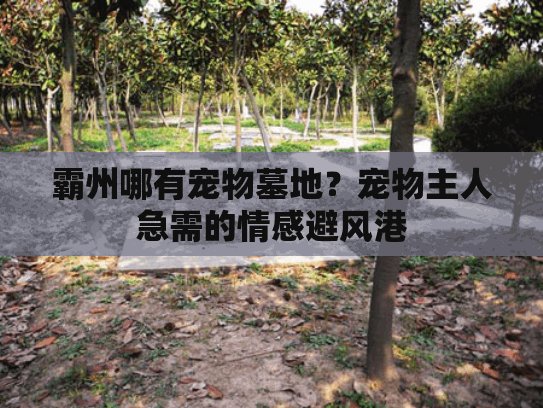 霸州哪有宠物墓地？宠物主人急需的情感避风港