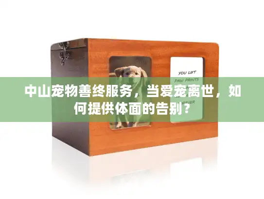 中山宠物善终服务,当爱宠离世,如何提供体面的告别? 中山宠物善终服务,当爱宠离世,如何提供体面的告别?