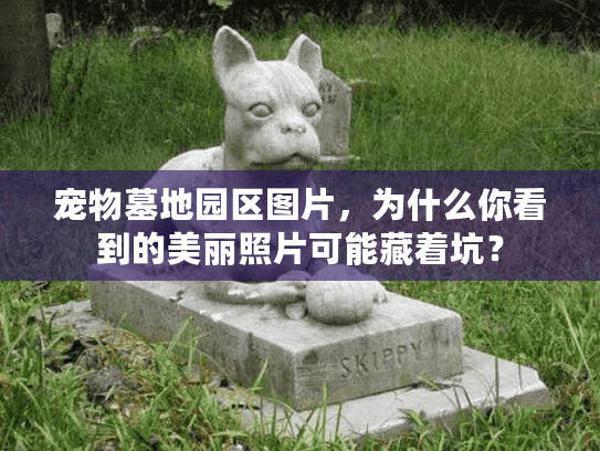 宠物墓地园区图片，为什么你看到的美丽照片可能藏着坑？