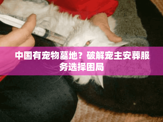 中国有宠物墓地？破解宠主安葬服务选择困局