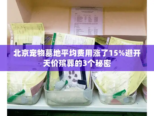 北京宠物墓地平均费用涨了15%避开天价殡葬的3个秘密