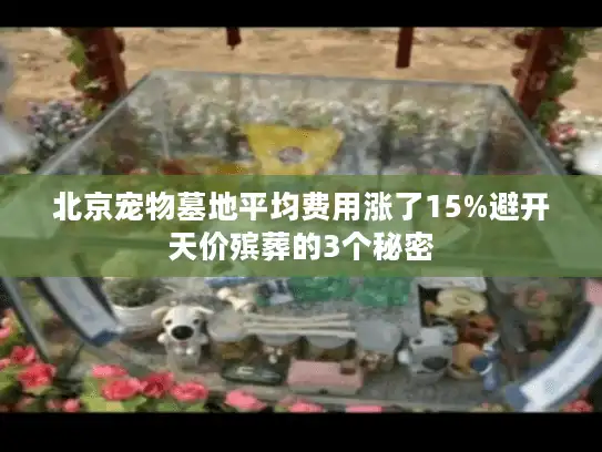 北京宠物墓地平均费用涨了15%避开天价殡葬的3个秘密