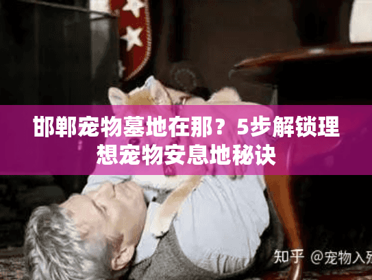 邯郸宠物墓地在那？5步解锁理想宠物安息地秘诀