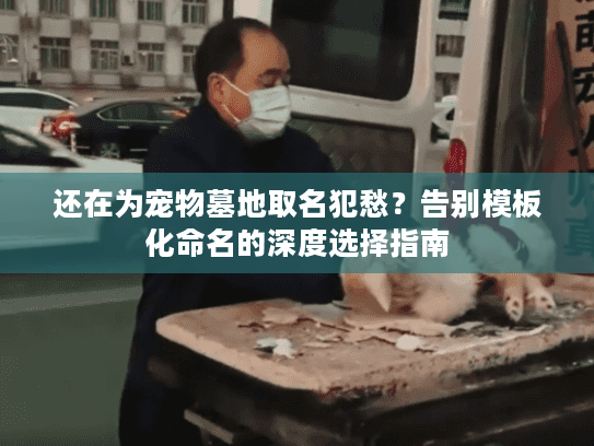 还在为宠物墓地取名犯愁?告别模板化命名的深度选择指南 还在为宠物墓地取名犯愁?告别模板化命名的深度选择指南