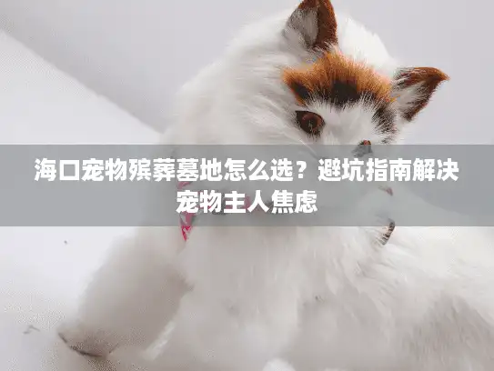 海口宠物殡葬墓地怎么选？避坑指南解决宠物主人焦虑