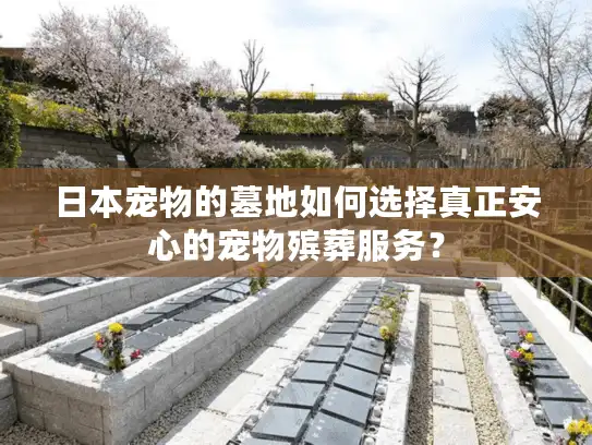 日本宠物的墓地如何选择真正安心的宠物殡葬服务? 日本宠物的墓地如何选择真正安心的宠物殡葬服务?