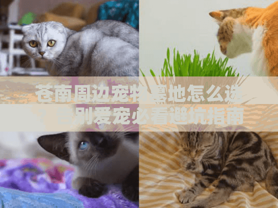 苍南周边宠物墓地怎么选？告别爱宠必看避坑指南