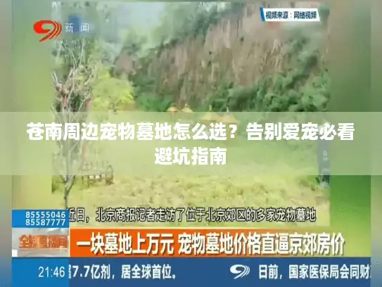 苍南周边宠物墓地怎么选？告别爱宠必看避坑指南