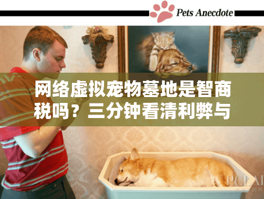 网络虚拟宠物墓地是智商税吗？三分钟看清利弊与隐藏成本