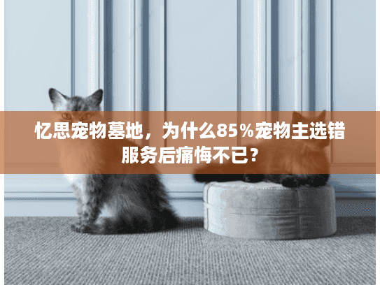 忆思宠物墓地，为什么85%宠物主选错服务后痛悔不已？