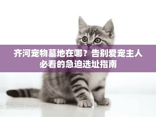 齐河宠物墓地在哪？告别爱宠主人必看的急迫选址指南