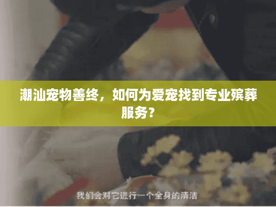 潮汕宠物善终,如何为爱宠找到专业殡葬服务? 潮汕宠物善终,如何为爱宠找到专业殡葬服务?