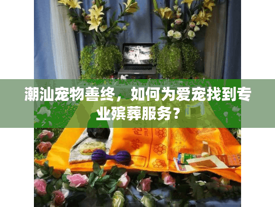 潮汕宠物善终,如何为爱宠找到专业殡葬服务? 潮汕宠物善终,如何为爱宠找到专业殡葬服务?