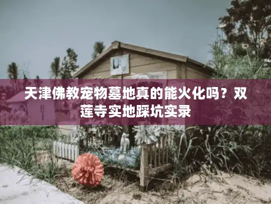 天津佛教宠物墓地真的能火化吗?双莲寺实地踩坑实录 天津佛教宠物墓地真的能火化吗?双莲寺实地踩坑实录