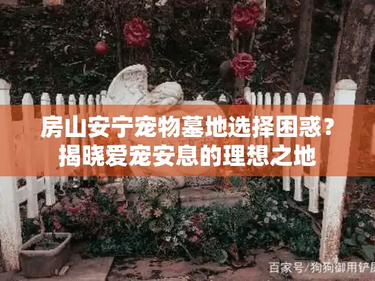 房山安宁宠物墓地选择困惑？揭晓爱宠安息的理想之地
