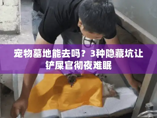 宠物墓地能去吗？3种隐藏坑让铲屎官彻夜难眠