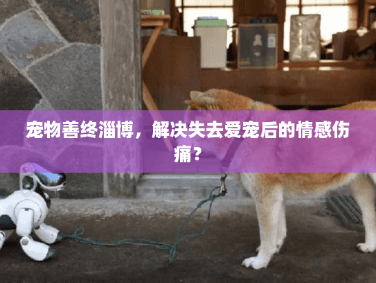 宠物善终淄博，解决失去爱宠后的情感伤痛？