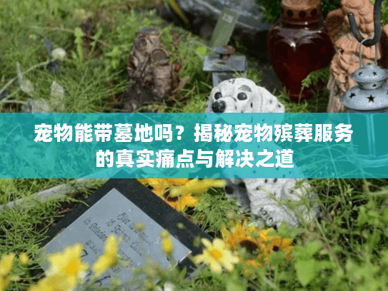 宠物能带墓地吗?揭秘宠物殡葬服务的真实痛点与解决之道 宠物能带墓地吗?揭秘宠物殡葬服务的真实痛点与解决之道