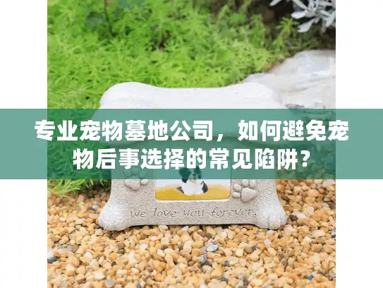 专业宠物墓地公司，如何避免宠物后事选择的常见陷阱？