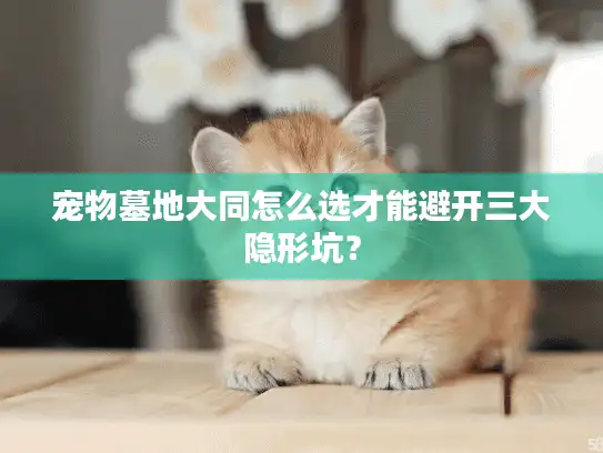 宠物墓地大同怎么选才能避开三大隐形坑？