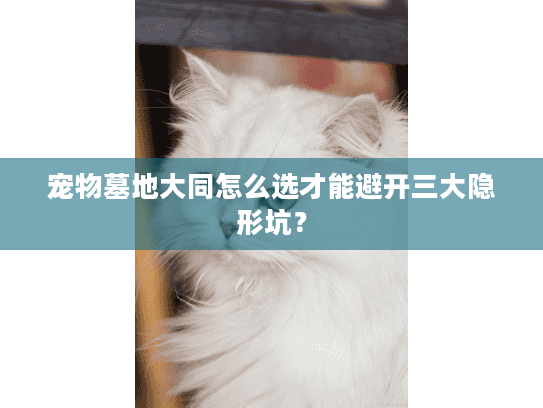 宠物墓地大同怎么选才能避开三大隐形坑？