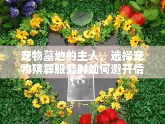 宠物墓地的主人，选择宠物殡葬服务时如何避开情感与财务陷阱？