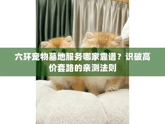 六环宠物墓地服务哪家靠谱？识破高价套路的亲测法则