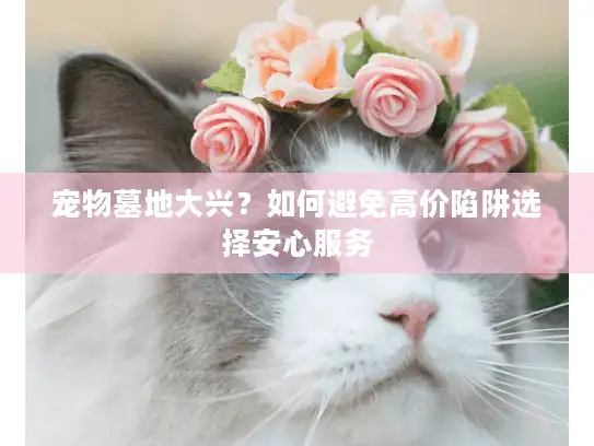 宠物墓地大兴？如何避免高价陷阱选择安心服务