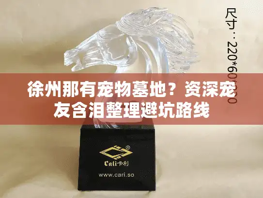 徐州那有宠物墓地?资深宠友含泪整理避坑路线 徐州那有宠物墓地?资深宠友含泪整理避坑路线