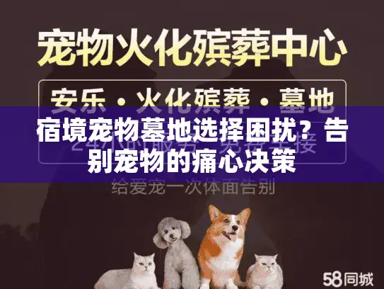 宿境宠物墓地选择困扰?告别宠物的痛心决策 宿境宠物墓地选择困扰?告别宠物的痛心决策