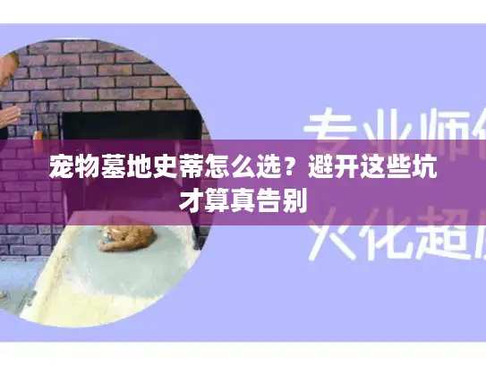 宠物墓地史蒂怎么选？避开这些坑才算真告别