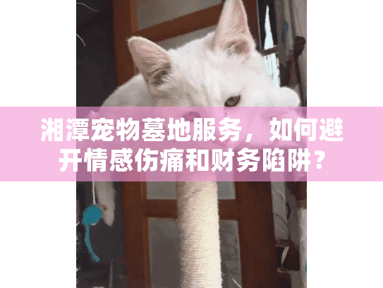 湘潭宠物墓地服务,如何避开情感伤痛和财务陷阱? 湘潭宠物墓地服务,如何避开情感伤痛和财务陷阱?