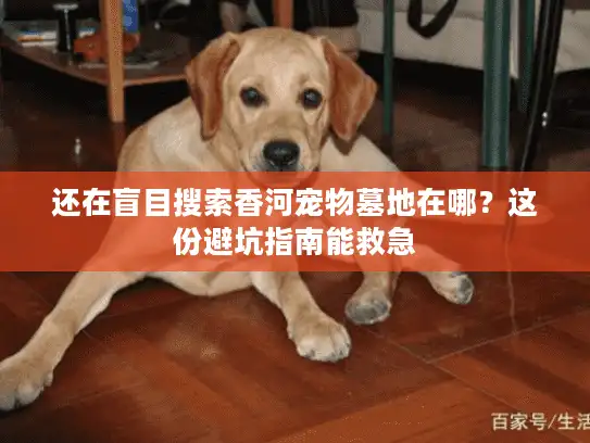 还在盲目搜索香河宠物墓地在哪?这份避坑指南能救急 还在盲目搜索香河宠物墓地在哪?这份避坑指南能救急