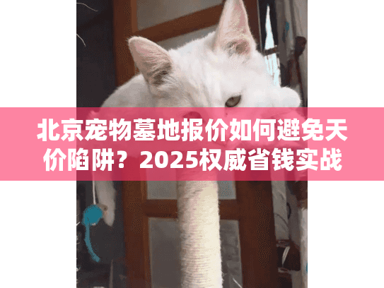 北京宠物墓地报价如何避免天价陷阱？2025权威省钱实战攻略