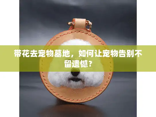 带花去宠物墓地，如何让宠物告别不留遗憾？