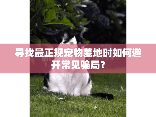 寻找最正规宠物墓地时如何避开常见骗局？