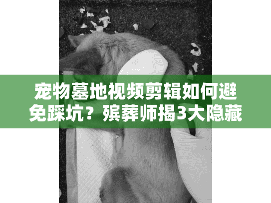 宠物墓地视频剪辑如何避免踩坑？殡葬师揭3大隐藏成本