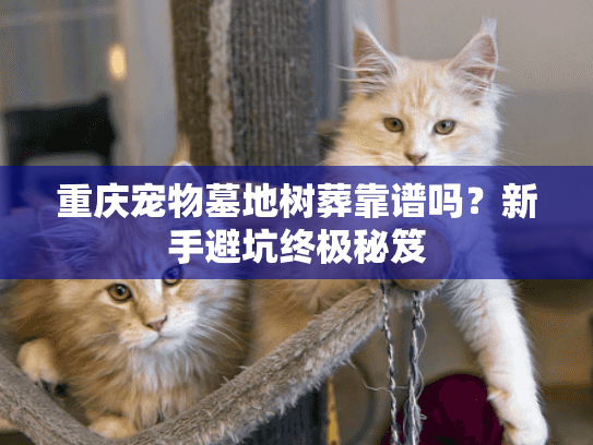 重庆宠物墓地树葬靠谱吗？新手避坑终极秘笈