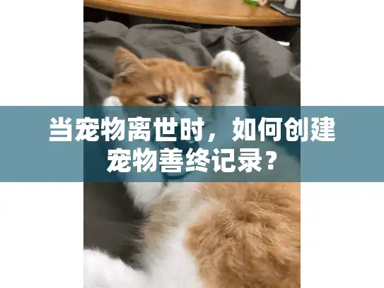当宠物离世时，如何创建宠物善终记录？
