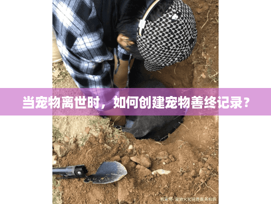 当宠物离世时，如何创建宠物善终记录？