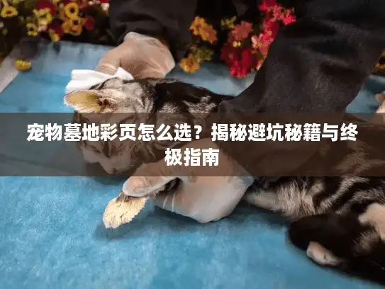 宠物墓地彩页怎么选？揭秘避坑秘籍与终极指南