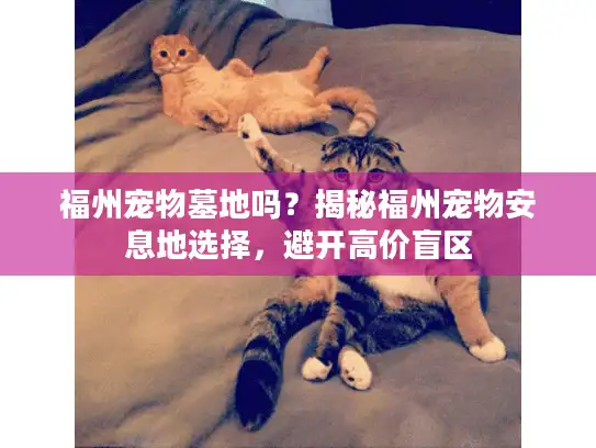 福州宠物墓地吗?揭秘福州宠物安息地选择,避开高价盲区 福州宠物墓地吗?揭秘福州宠物安息地选择,避开高价盲区